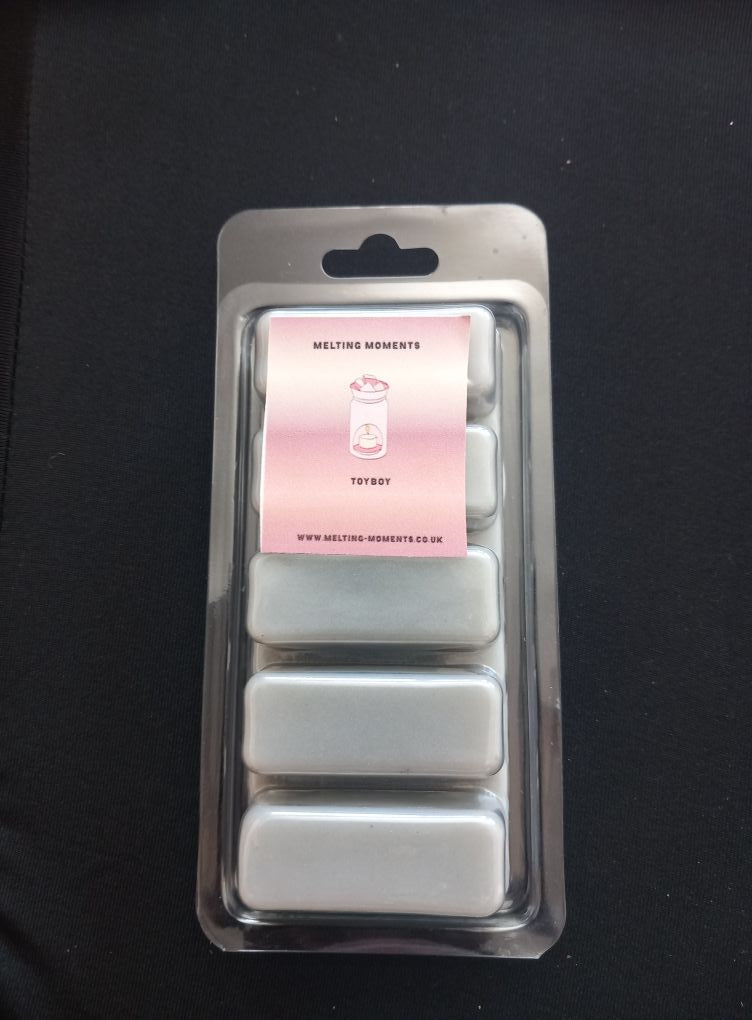 Medium Snap Melt - Toy Boy Scent
